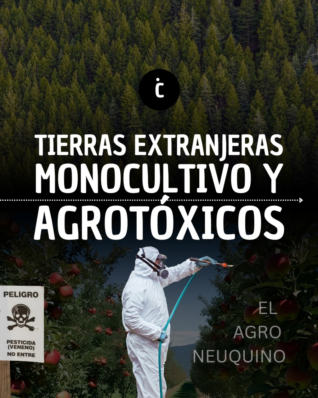 TIERRAS EXTRANJERAS, MONOCULTIVO Y&nbsp;AGROTÓXICOS
