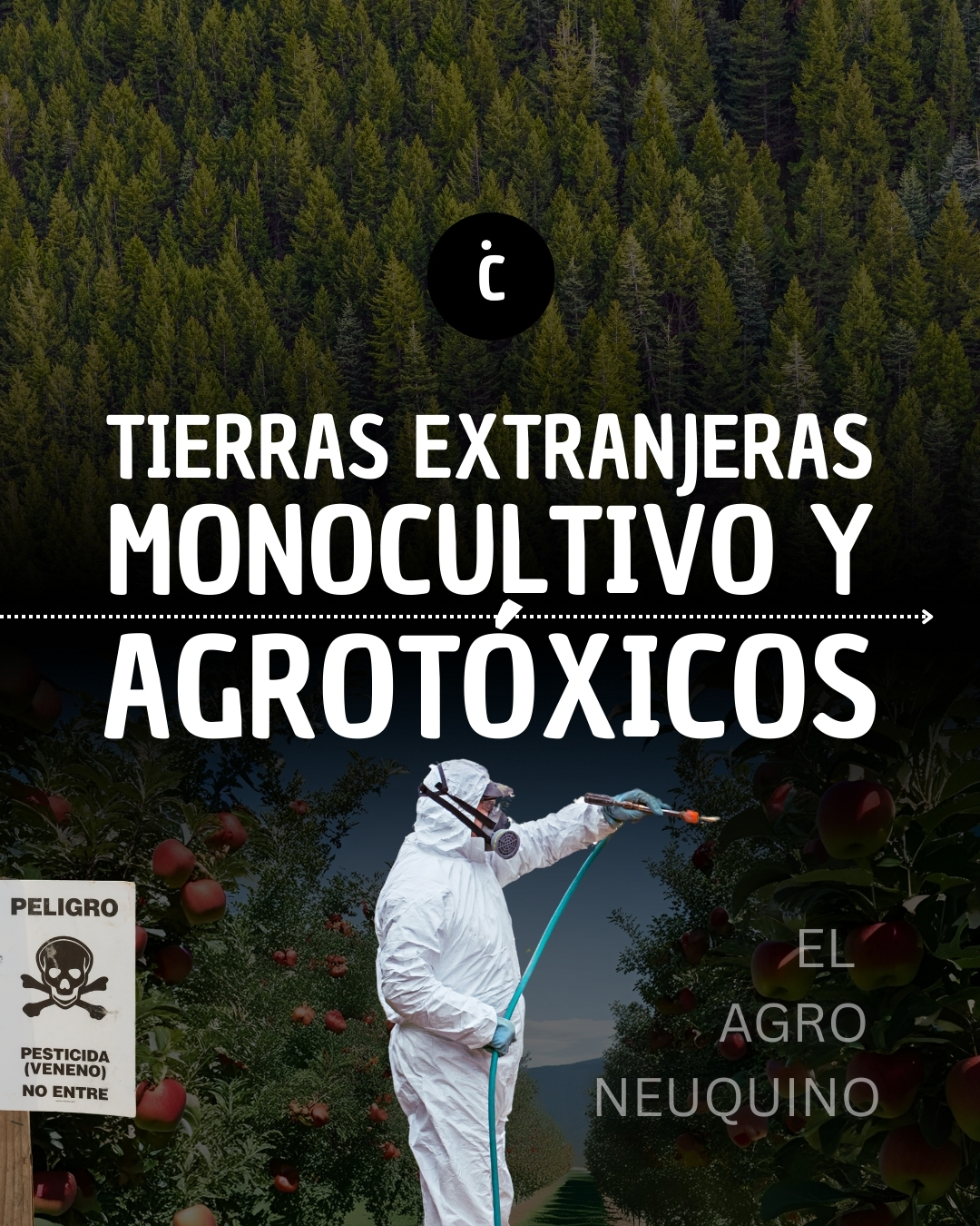 TIERRAS EXTRANJERAS, MONOCULTIVO Y&nbsp;AGROTÓXICOS
